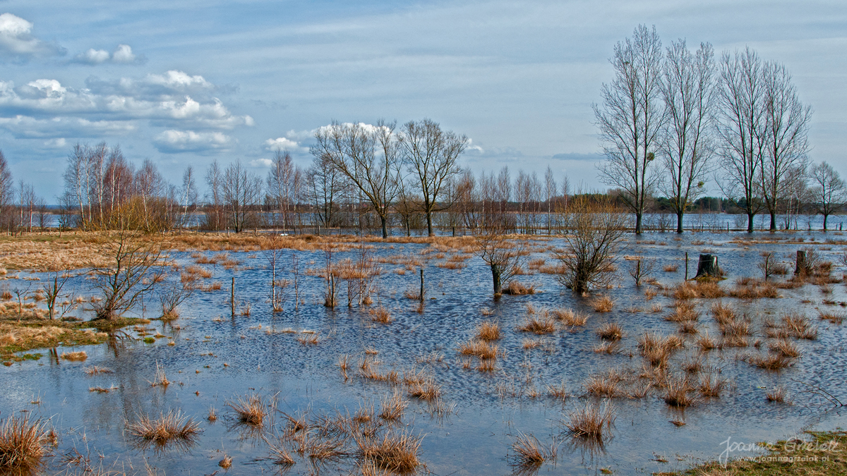 033_Biebrza - kwiecien 2013.jpg